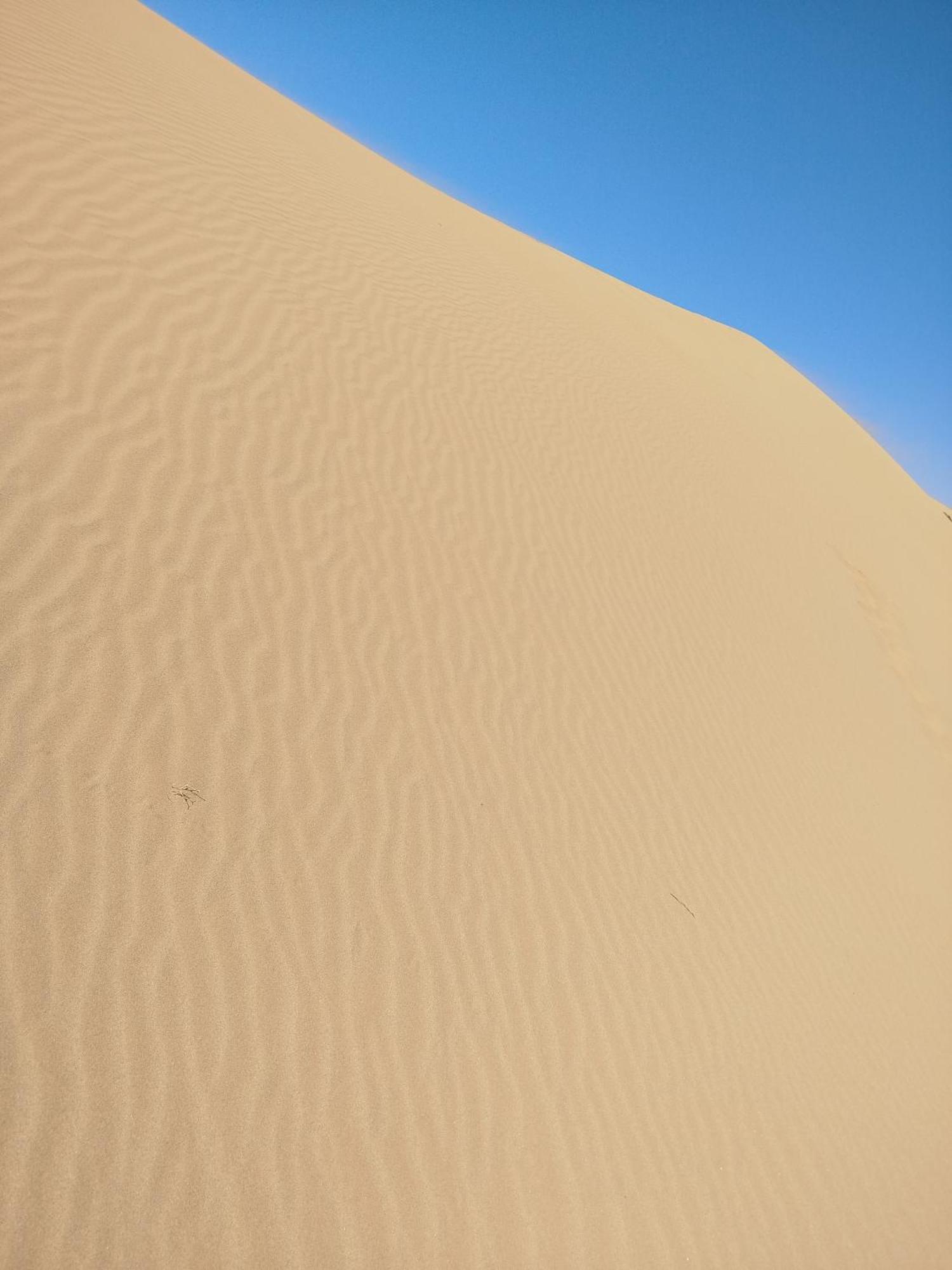 Maison Etoile Du Desert Tighmert Екстер'єр фото